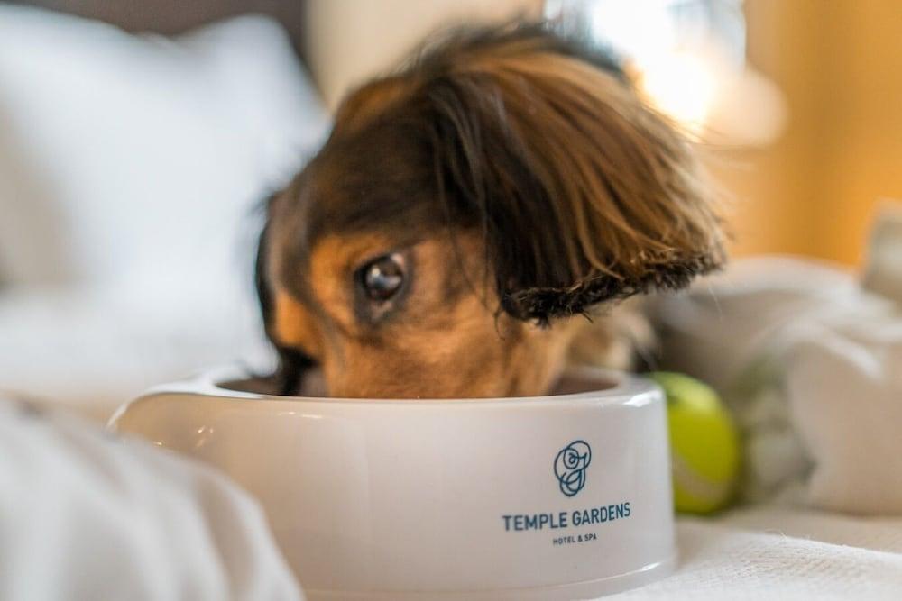 Temple Gardens Hotel & Spa Moose Jaw Luaran gambar